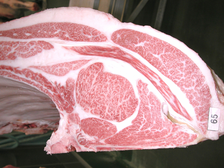 令和7年度たじま牛枝肉共励会