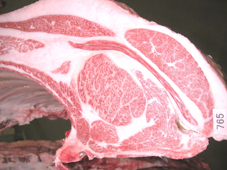 第387回神戸ビーフ共励会 最優秀賞