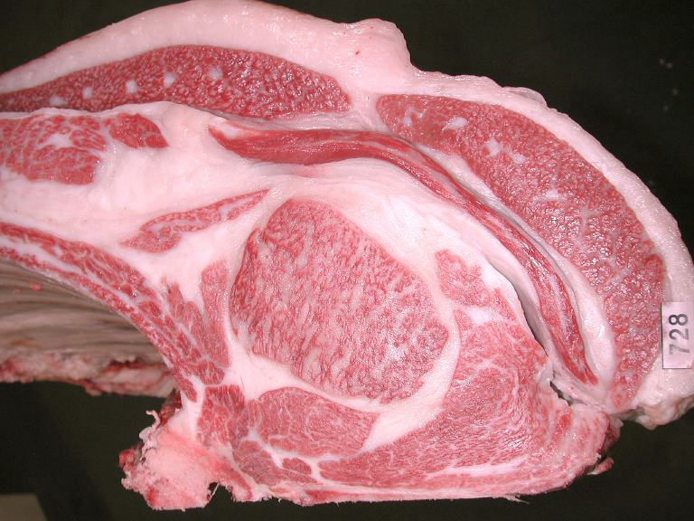 第251回神戸肉枝肉共励会 最優秀賞