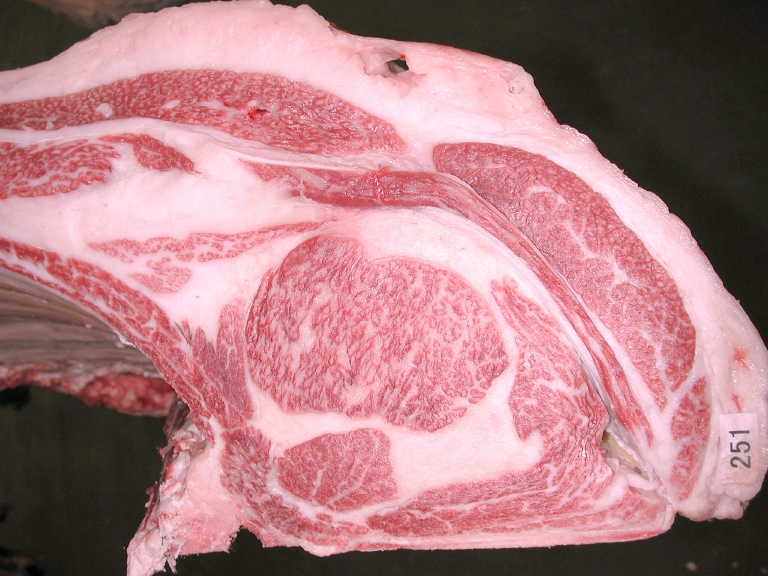 第388回神戸ビーフ共励会 最優秀賞