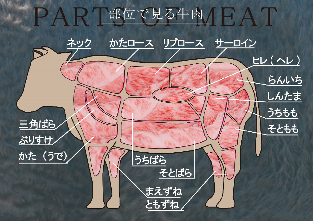 お肉